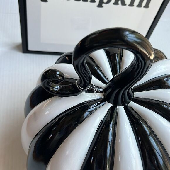 Elegant Glossy Black and White Stripe Pumpkin - Picture 9 of 10
